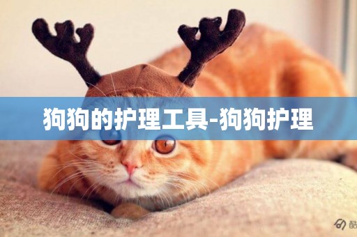 狗狗的護理工具-狗狗護理