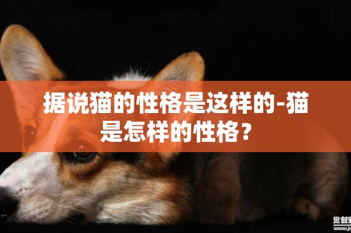 據說貓的性格是這樣的-貓是怎樣的性格？