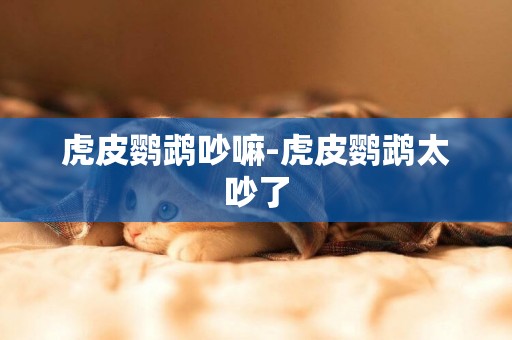 虎皮鸚鵡吵嘛-虎皮鸚鵡太吵了