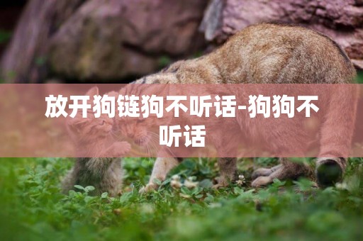 放開狗鏈狗不聽話-狗狗不聽話