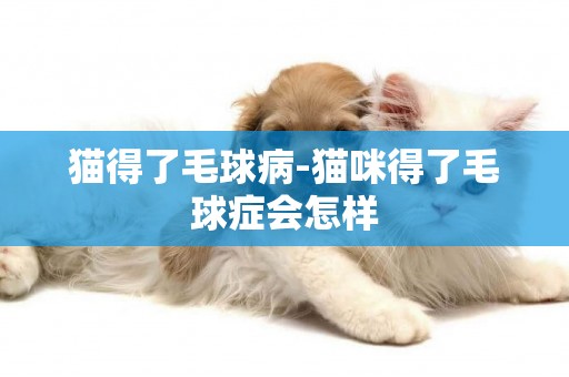 貓得了毛球病-貓咪得了毛球癥會怎樣