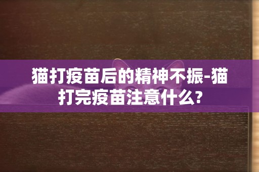 貓打疫苗后的精神不振-貓打完疫苗注意什么?
