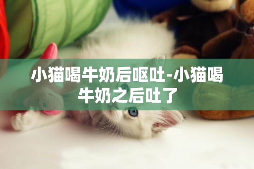 小貓喝牛奶后嘔吐-小貓喝牛奶之后吐了
