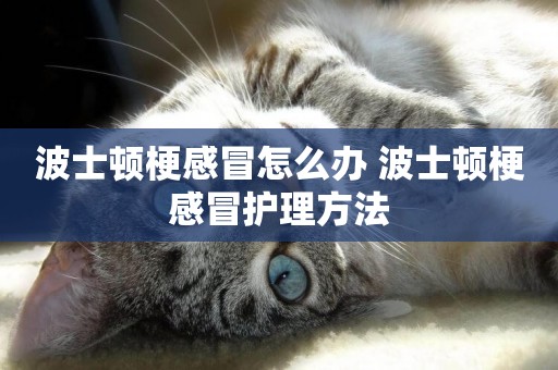 波士頓梗感冒怎么辦 波士頓梗感冒護理方法