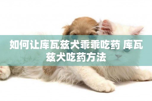 如何讓庫瓦茲犬乖乖吃藥 庫瓦茲犬吃藥方法