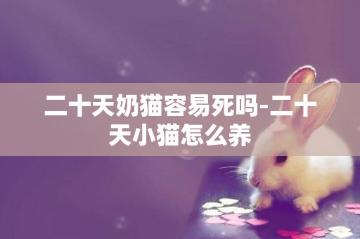 二十天奶貓容易死嗎-二十天小貓怎么養