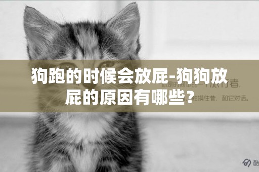 狗跑的時候會放屁-狗狗放屁的原因有哪些？
