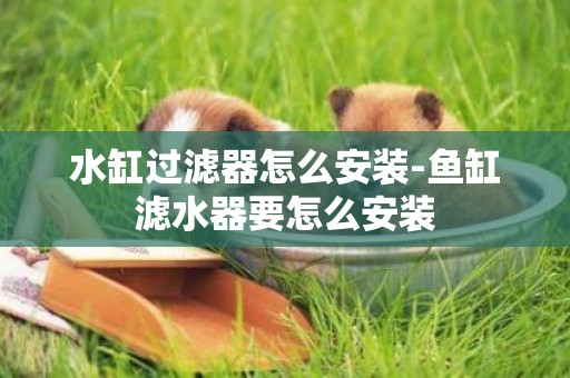 水缸過濾器怎么安裝-魚缸濾水器要怎么安裝