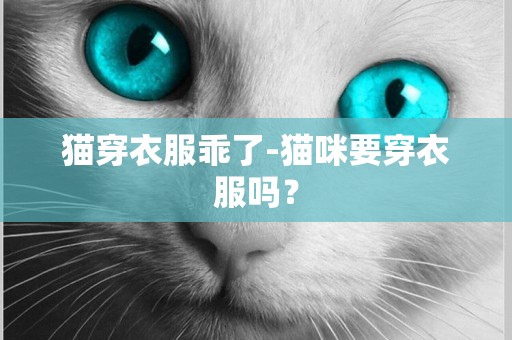 貓穿衣服乖了-貓咪要穿衣服嗎？