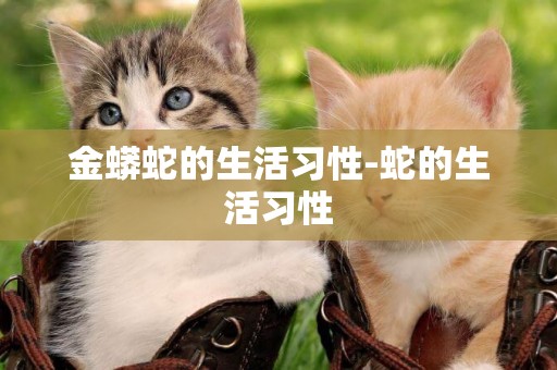 金蟒蛇的生活習性-蛇的生活習性