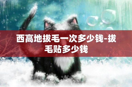 西高地拔毛一次多少錢-拔毛貼多少錢
