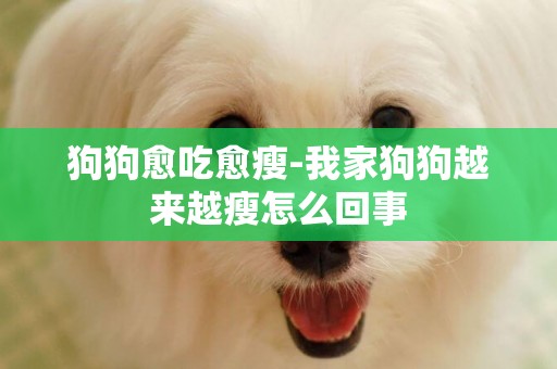 狗狗愈吃愈瘦-我家狗狗越來越瘦怎么回事