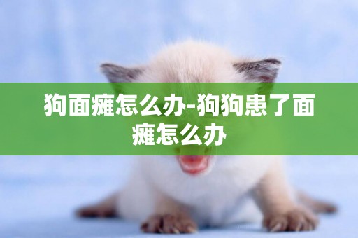 狗面癱怎么辦-狗狗患了面癱怎么辦