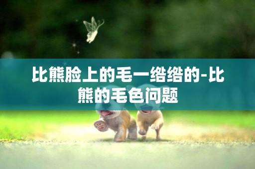 比熊臉上的毛一綹綹的-比熊的毛色問題