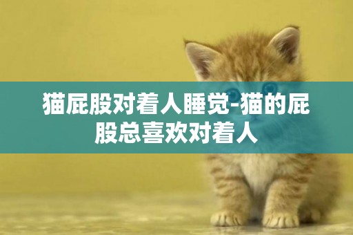 貓屁股對著人睡覺-貓的屁股總喜歡對著人