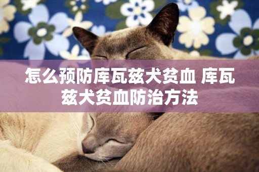 怎么預防庫瓦茲犬貧血 庫瓦茲犬貧血防治方法