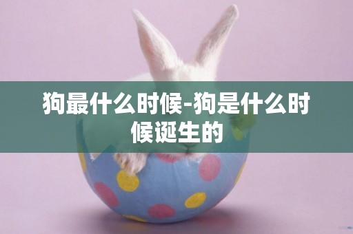 狗最什么時候-狗是什么時候誕生的