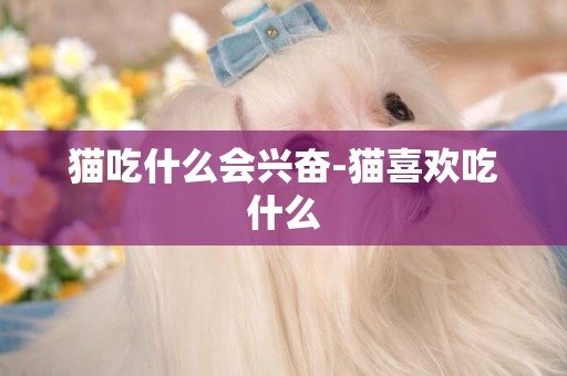 貓吃什么會興奮-貓喜歡吃什么