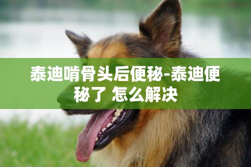 泰迪啃骨頭后便秘-泰迪便秘了 怎么解決