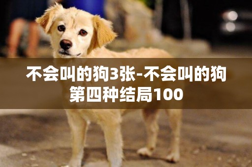 不會叫的狗3張-不會叫的狗第四種結局100