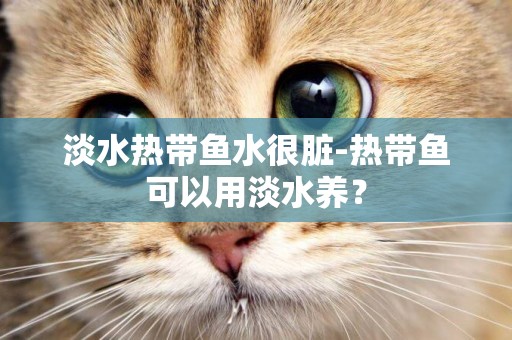 淡水熱帶魚水很臟-熱帶魚可以用淡水養？