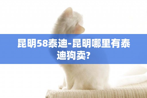 昆明58泰迪-昆明哪里有泰迪狗賣?