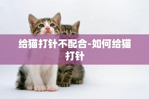 給貓打針不配合-如何給貓打針