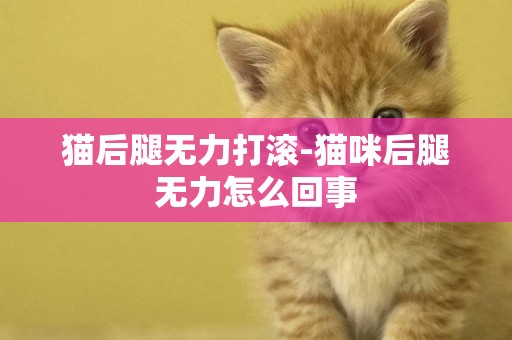 貓后腿無力打滾-貓咪后腿無力怎么回事