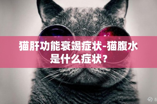 貓肝功能衰竭癥狀-貓腹水是什么癥狀？