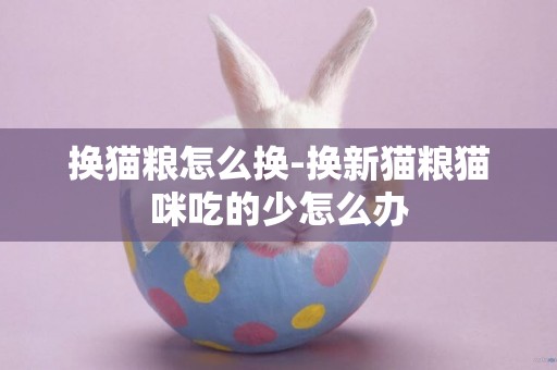 換貓糧怎么換-換新貓糧貓咪吃的少怎么辦