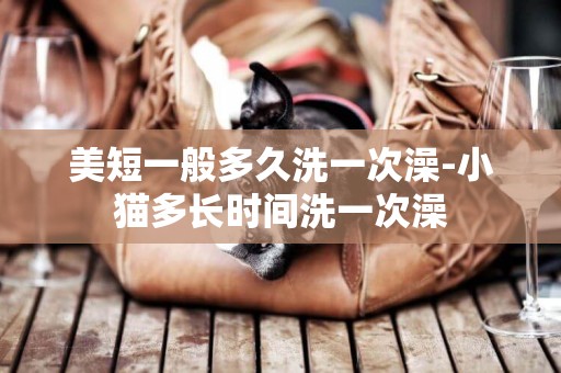 美短一般多久洗一次澡-小貓多長時間洗一次澡