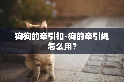狗狗的牽引扣-狗的牽引繩怎么用？