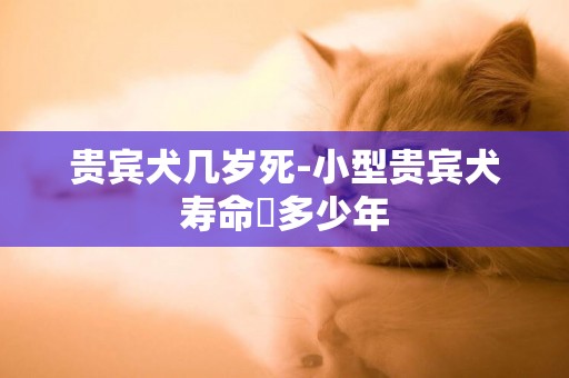 貴賓犬幾歲死-小型貴賓犬壽命昰多少年