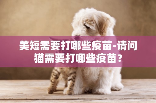 美短需要打哪些疫苗-請問貓需要打哪些疫苗？