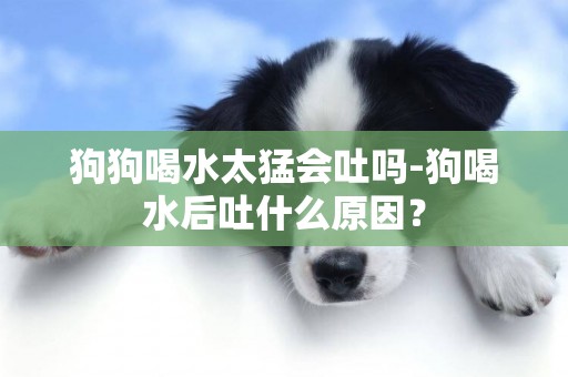 狗狗喝水太猛會吐嗎-狗喝水后吐什么原因？