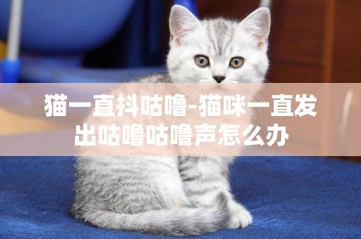 貓一直抖咕嚕-貓咪一直發出咕嚕咕嚕聲怎么辦