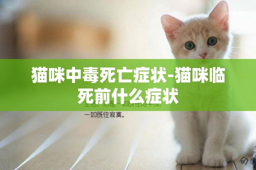 貓咪中毒死亡癥狀-貓咪臨死前什么癥狀