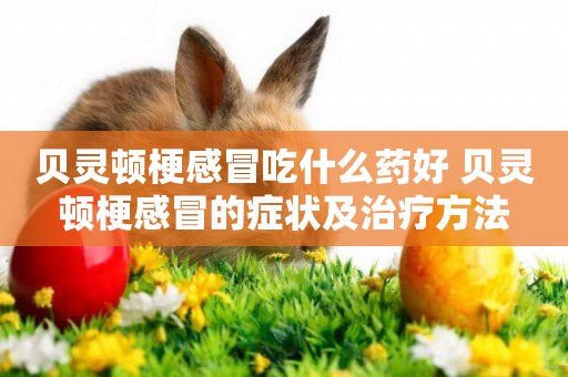 貝靈頓梗感冒吃什么藥好 貝靈頓梗感冒的癥狀及治療方法