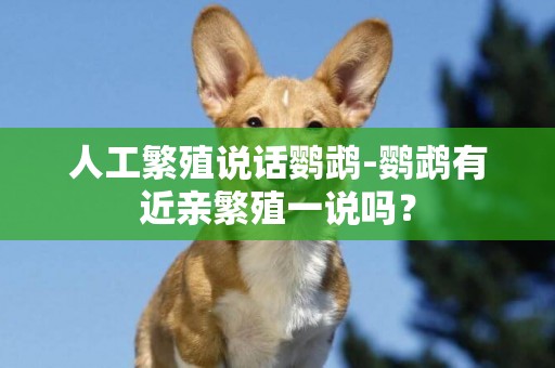 人工繁殖說話鸚鵡-鸚鵡有近親繁殖一說嗎？
