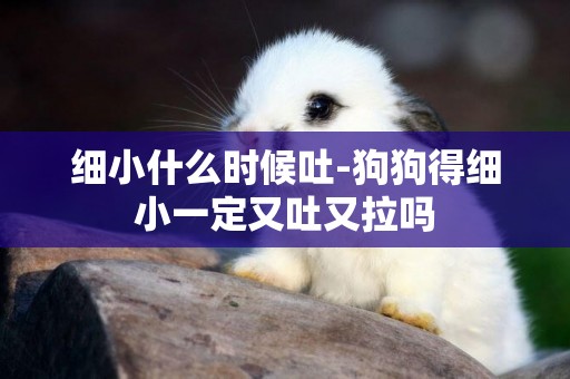 細小什么時候吐-狗狗得細小一定又吐又拉嗎