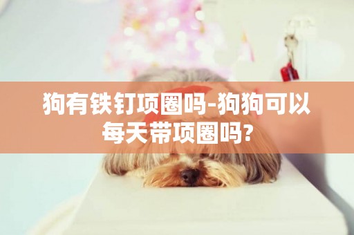 狗有鐵釘項圈嗎-狗狗可以每天帶項圈嗎?