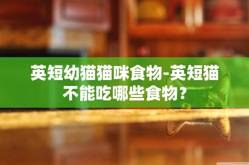 英短幼貓貓咪食物-英短貓不能吃哪些食物？