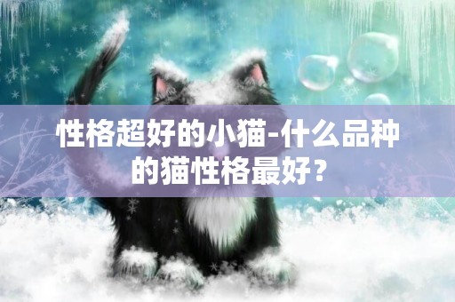 性格超好的小貓-什么品種的貓性格最好？