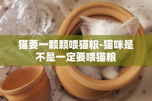 貓要一顆顆喂貓糧-貓咪是不是一定要喂貓糧