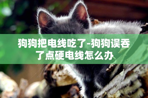 狗狗把電線吃了-狗狗誤吞了點硬電線怎么辦