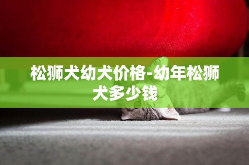 松獅犬幼犬價格-幼年松獅犬多少錢
