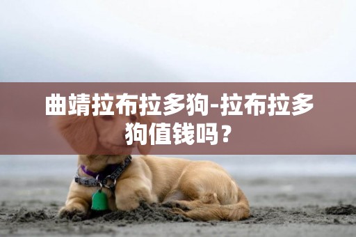 曲靖拉布拉多狗-拉布拉多狗值錢嗎？