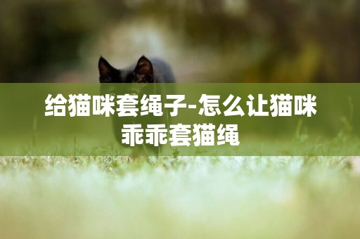 給貓咪套繩子-怎么讓貓咪乖乖套貓繩