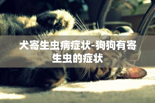 犬寄生蟲病癥狀-狗狗有寄生蟲的癥狀