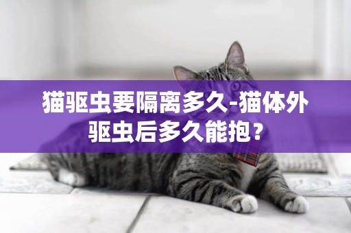 貓驅蟲要隔離多久-貓體外驅蟲后多久能抱？